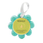 Coconut Verbena | Wild Flower Bath Sponge - Image 1