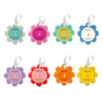Wild Flower Assorted Pack - Image 1