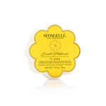 Sweet Patchouli | Daisy Spongette - Image 1