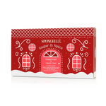Sugar & Spice | Holiday Gingerbread Gift Set - Image 4