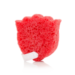 Poppy Rouge | Les Fleurs Body Buffer - Image 5