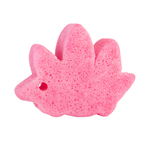 Sally Stegosaurus | Spongeasaurus Dinosaur Buffer - Image 5