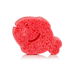 Fiona Fish | Sea Animals - Image 5