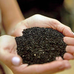 Black Seed Oil - Acne Fighting & Clear Skin - Image 14