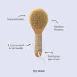 Dry Brush - Image 3
