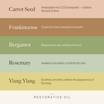 Restorative Body Oil - Image 4