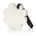 Blackberry | Boxed Flower - Image 5