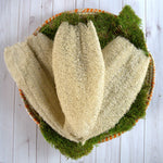 Ugandan Exfoliator Natural Loofah (Ekyangwe) - Image 1