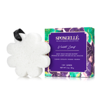 Violet Leaf | Boxed Flower - Image 1