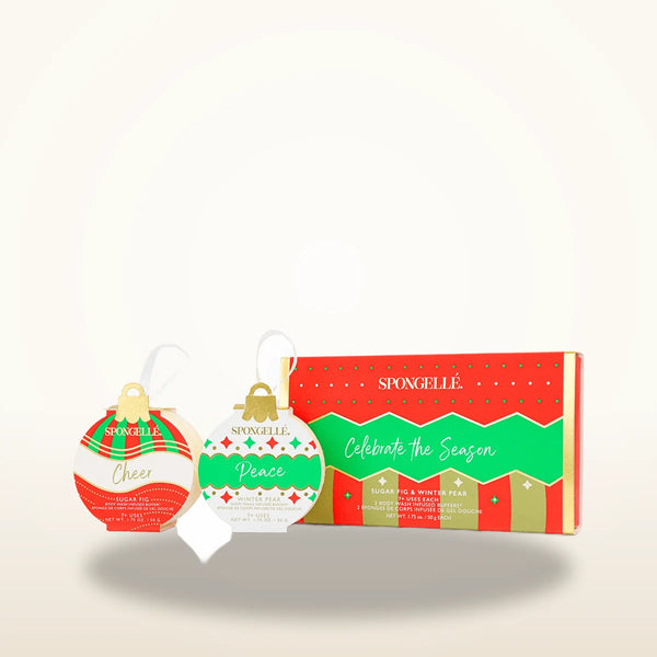 Celebrate the Season | Holiday Ornament Gift Set