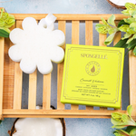 Coconut Verbena | Boxed Flower - Image 2