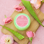 Pink Aloe | Eco Travel Buffer - Image 2