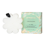 Edelweiss | Elevation Boxed Flower - Image 1