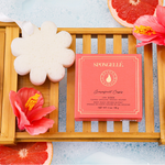 Grapefruit Cassis | Boxed Flower - Image 2
