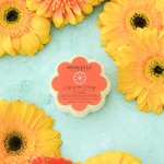 Lily of the Valley | Daisy Spongette - Image 2