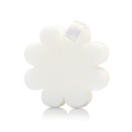 Beach Grass | Boxed Flower - Image 5