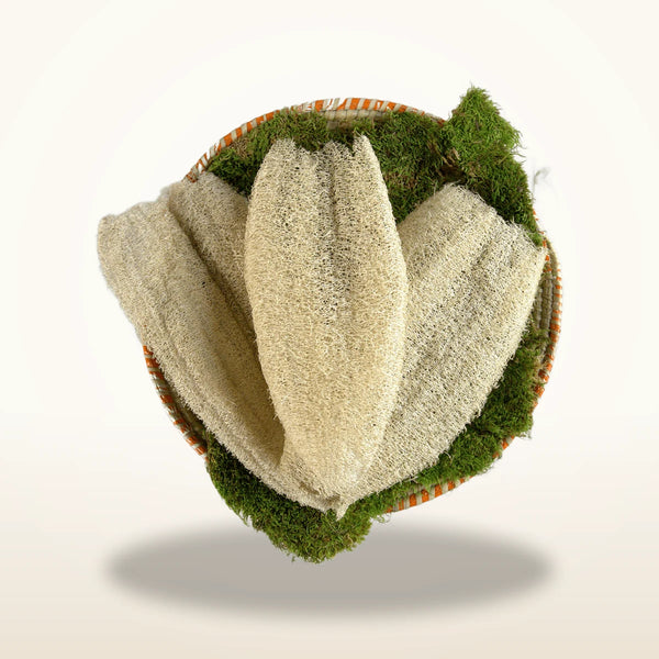 Ugandan Exfoliator Natural Loofah (Ekyangwe)